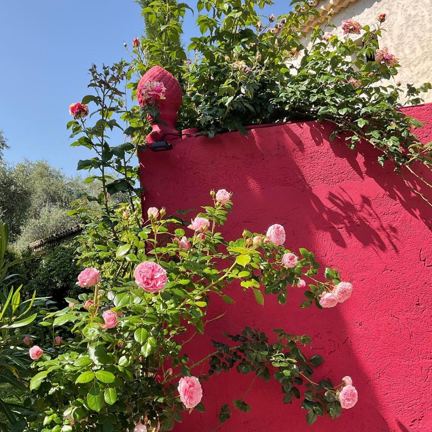 Mas De Provence En Riviera 호텔 La Roquette-sur-Var 외부 사진