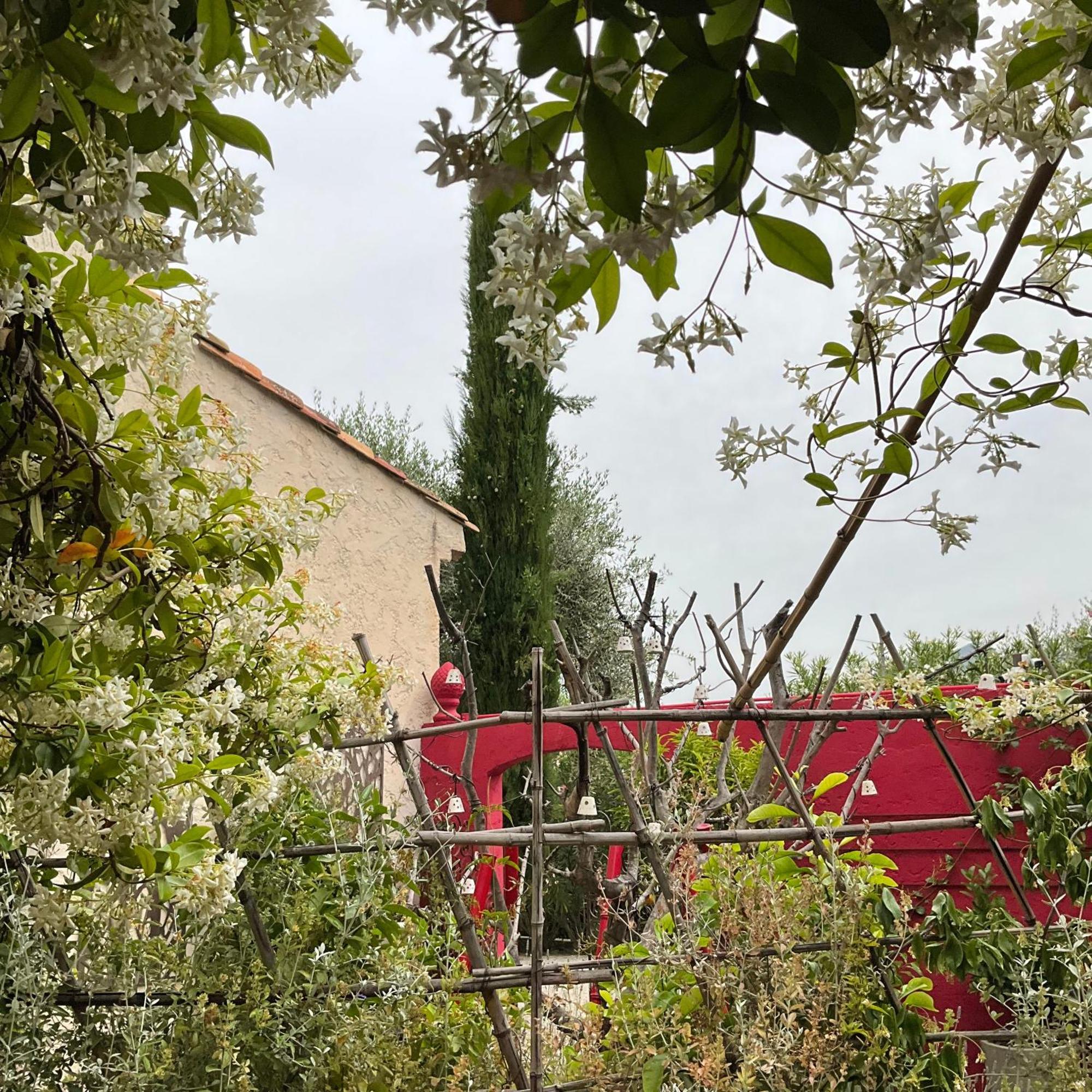 Mas De Provence En Riviera 호텔 La Roquette-sur-Var 외부 사진