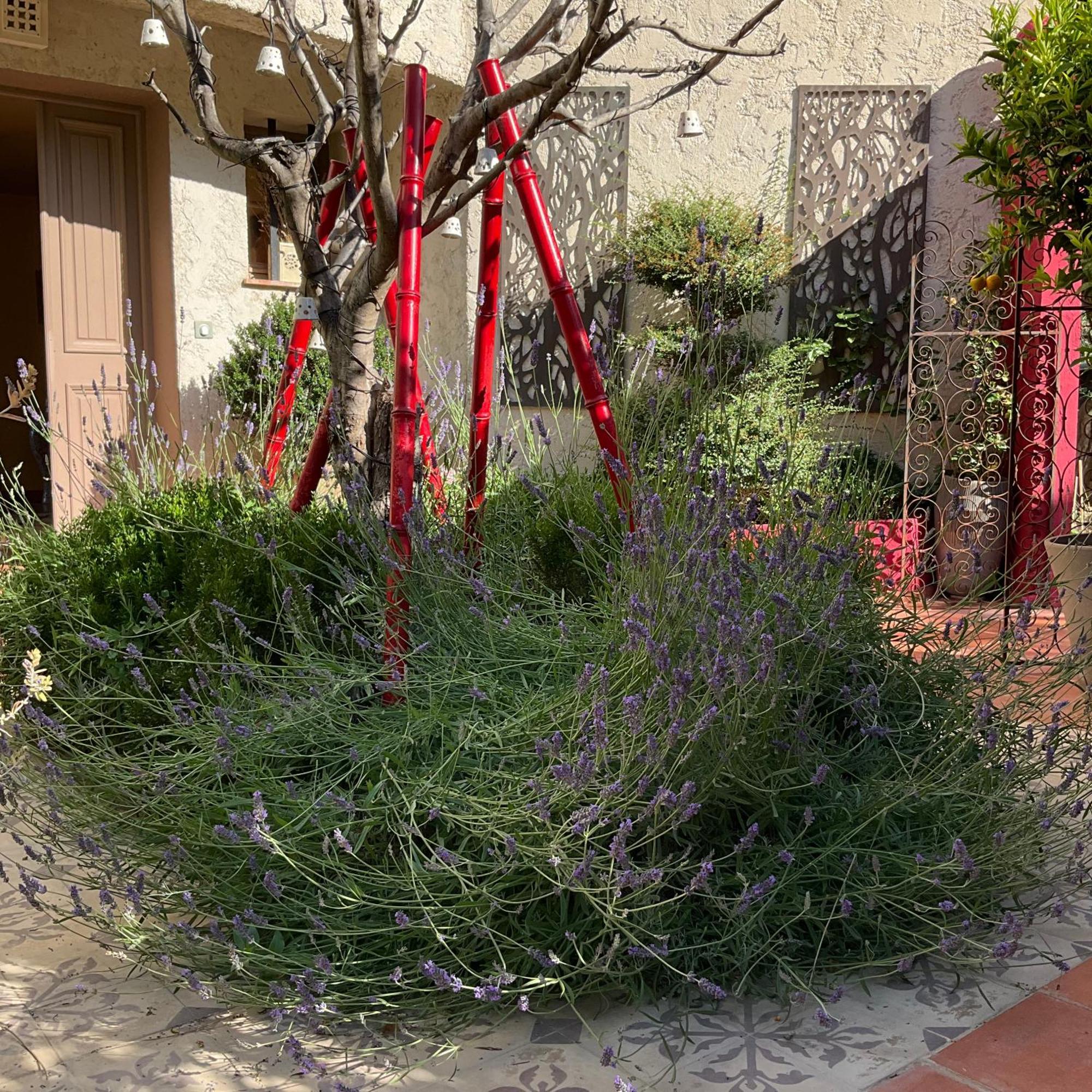 Mas De Provence En Riviera 호텔 La Roquette-sur-Var 외부 사진