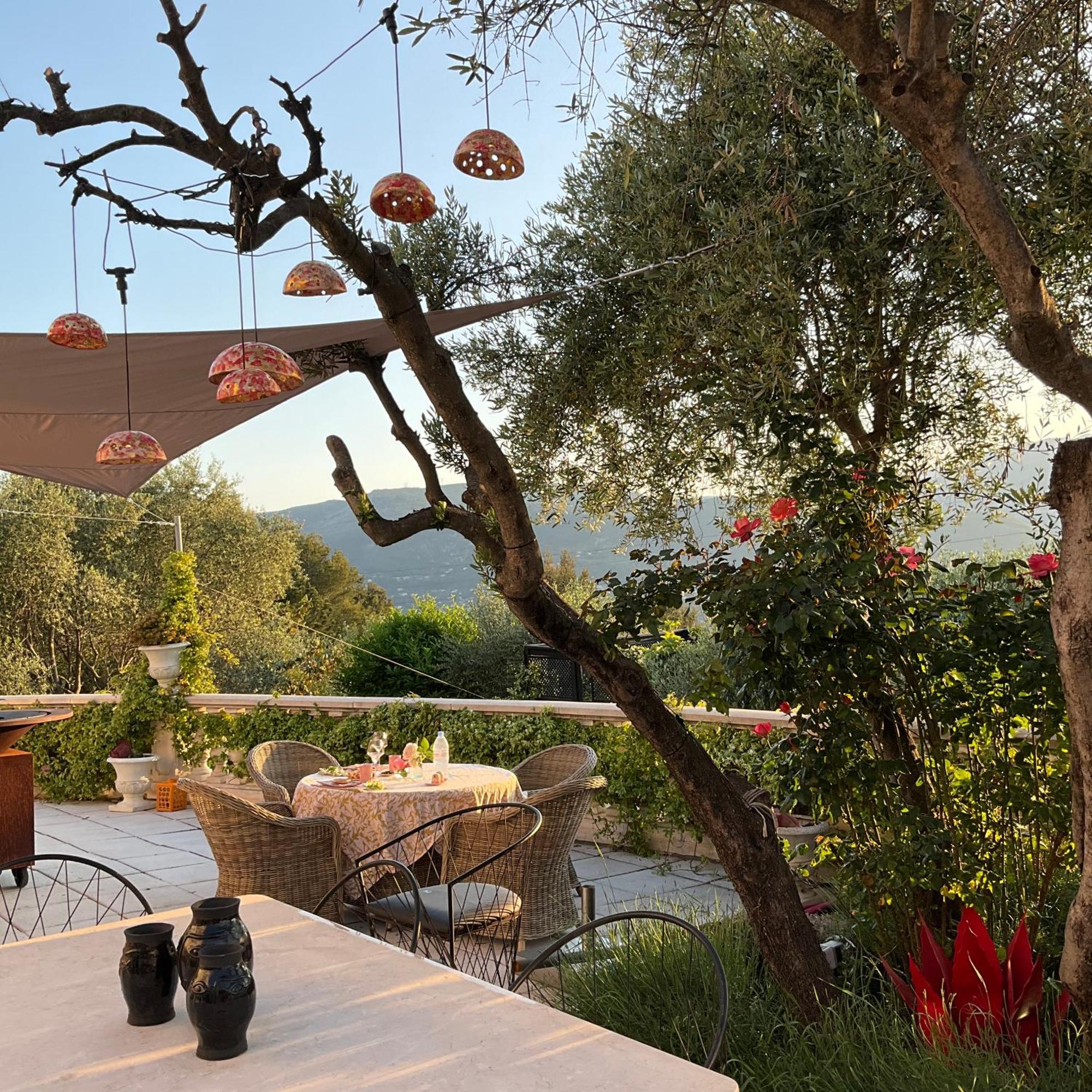Mas De Provence En Riviera 호텔 La Roquette-sur-Var 외부 사진