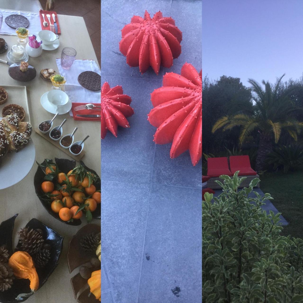 Mas De Provence En Riviera 호텔 La Roquette-sur-Var 외부 사진